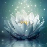 ✨ Seja Luz ✨ <i class="emoji" style="background-image:url(