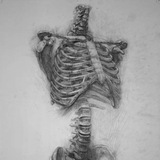 تشريح العملي