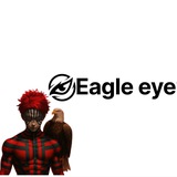 EAGLE EYE ACADEMY
