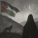 nur niqab