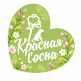 Приют для собак «Красная Сосна»