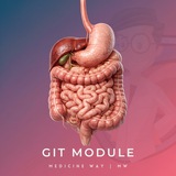 GIT Module | MW