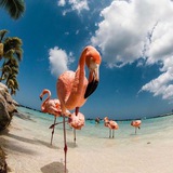 Sun_Hunt_Tur ☀️ 🏝 <i class="emoji" style="background-imag