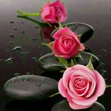 سرای مهر و شعر و ادبیات