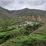 کرین نیوز