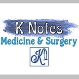 K Notes (2025)