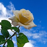 ~نصائح دينية~
