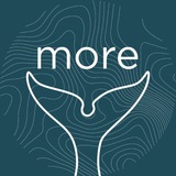 MORE