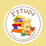 Z'study π° π