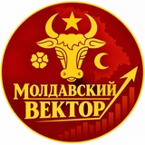 Мега-Ватник - канал Владимира Букарского