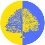 UK π¬π§ UKRAINE πΊπ¦