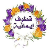 🌹 قطوف إيمانية🌹