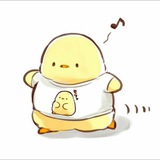 soft and cute chicks