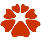 Tokyo Dawn Labs (RUS)