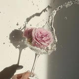 رحیــق