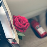 أبيات شعر🕊🌷