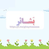بَـشْــائِر 📚 ʚɞ