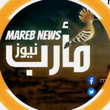 مأرب نيوز | marebnews