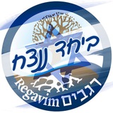 תנועת רגבים מעדכנת