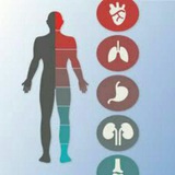 Internal Medicine