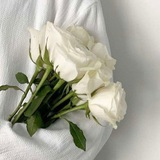 ياسَمِيـنُ العُـلا 🌸