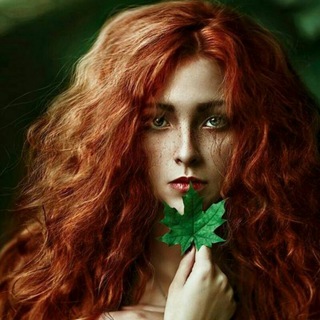 Scotland/Celtic/Vikings music