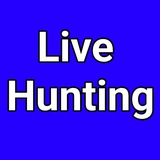 Live Hunting ( Sebi Register)