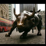 BIGBULLS