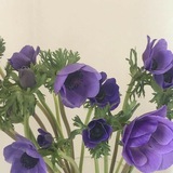 Pinterest Ideas