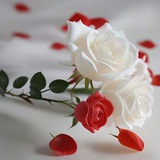 ❤️ زندگی زیباست ❤️