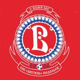 Витязь Футбольная школа г.Подольск