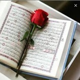 کانال فال قهوه تاروت