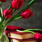 آوای دوست