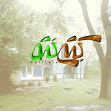 کِتی لَته