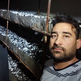 آموزش پرورش قارچ🌹مهندس عبدالحسینی