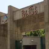 ورزشکاران دانشکدگان فنی
