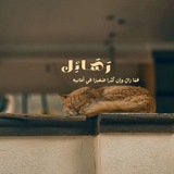 رسائِل ♡ 🌳