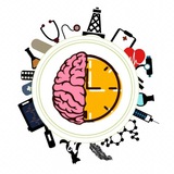 دليل طالب الجامعة الناجح