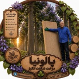 پالونیا درخت شگفت انگیز