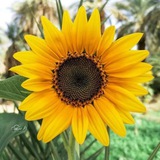💛 عبارات عميقة 💛