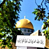 "إنَّ اللّٰهَ لا يَخْذِلُ قَلْباً لَجَأَ إليه 💚🪄"