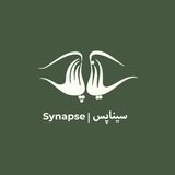 سیناپس | Synapse