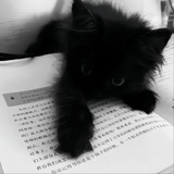 Лексунчик