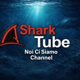 🛰 NOI CI SIAMO NEWS CHANNEL 🛰