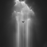 شعر،صور،رمزيات،غاني،شعر،رمزيات،قتباسات،غاني،صور،بنات،شباب،كروبات،تعارف،حكم،مقولات،ستوريات،غاني،حزينه،متحركات،متحركه،صوره