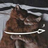 حُبْ ♡