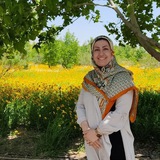 شوق زندگی/اعظم عباسیان