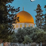 صور من مدينة القدس ❤️