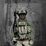 Операторы Боевых Мультироторных Систем