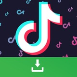 Tik Tok Downloader